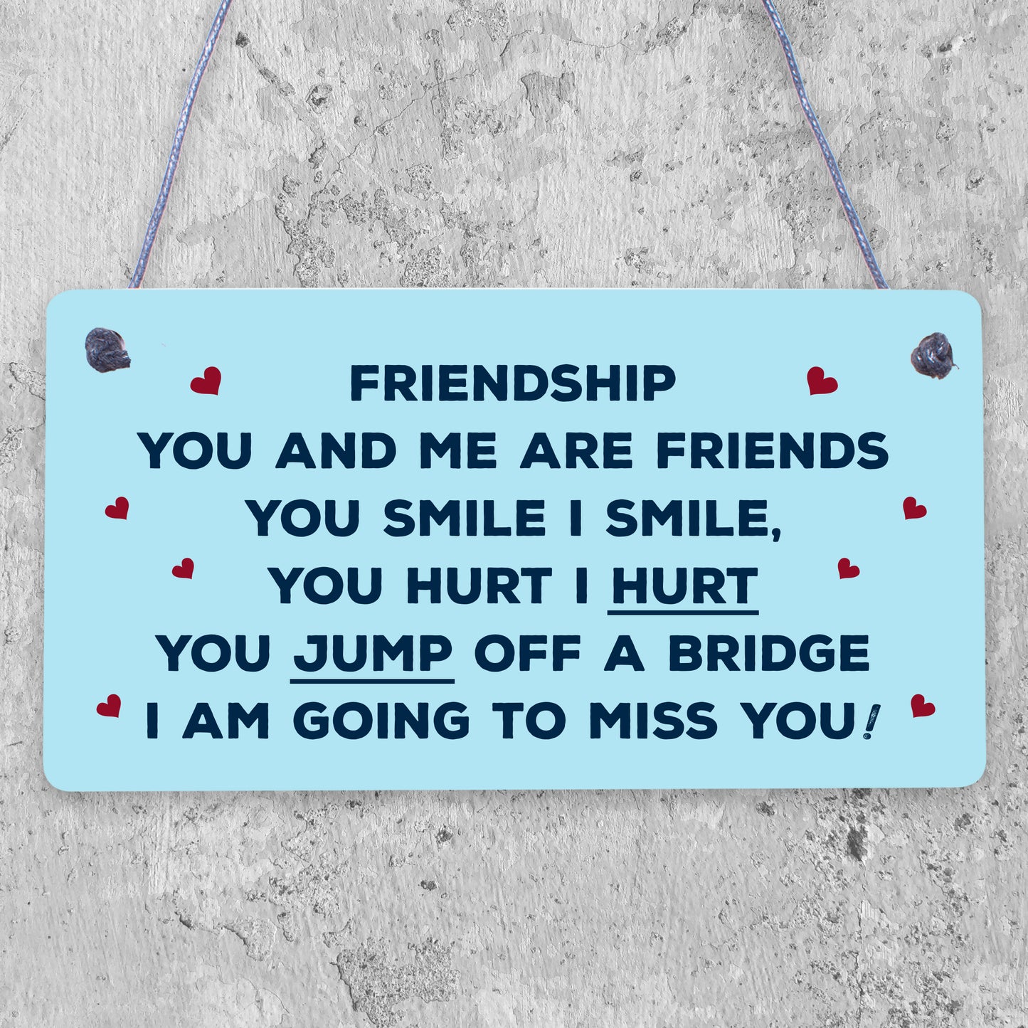 Funny Friendship Sign Hanging FRIEND Plaque Birthday Christmas Gift Thank You