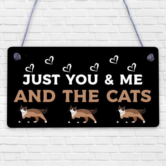 You Me And The Cats Sign Home Funny Crazy Cat Lady Sign Pet Lover Gifts