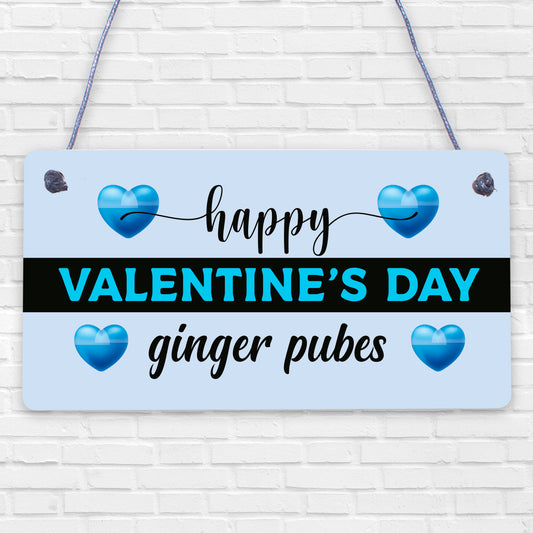 Funny Rude Valentines Day hanging plaque For Boyfriend Husband Joke Humour hanging plaque For Him