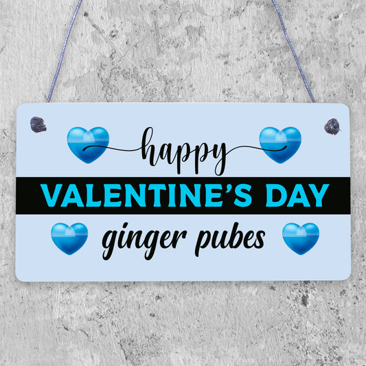 Funny Rude Valentines Day hanging plaque For Boyfriend Husband Joke Humour hanging plaque For Him