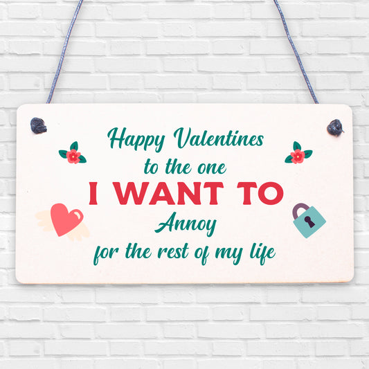 Quirky Valentines Day hanging plaque For Him Her Funny Husband Wife Boyfriend hanging plaque