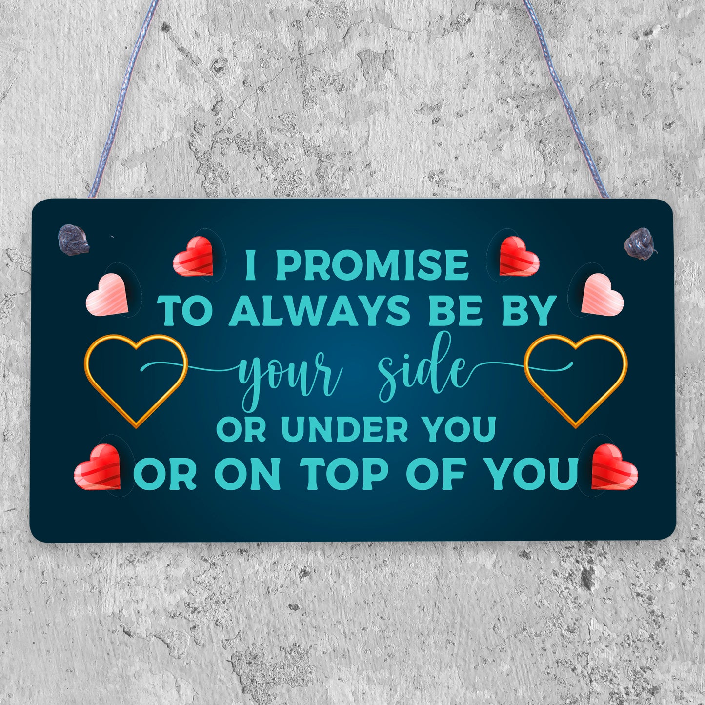 Valentines Day Funny Gifts For Him Her Anniversary Gifts hanging plaque Keepsake