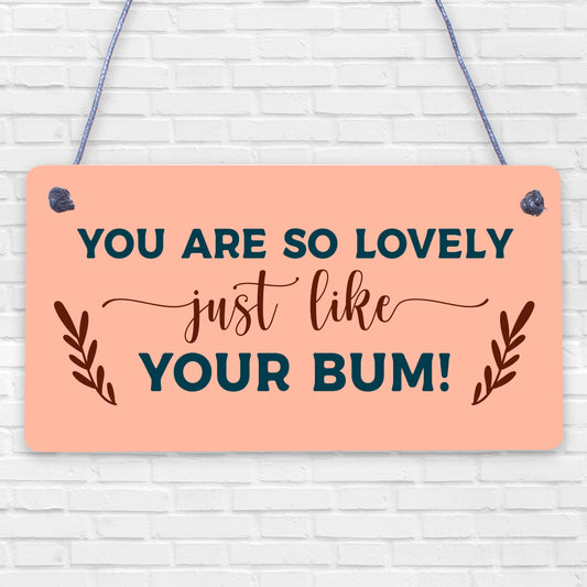 Funny Anniversary Rude Birthday hanging plaque Gift For Boyfriend Husband Relationship