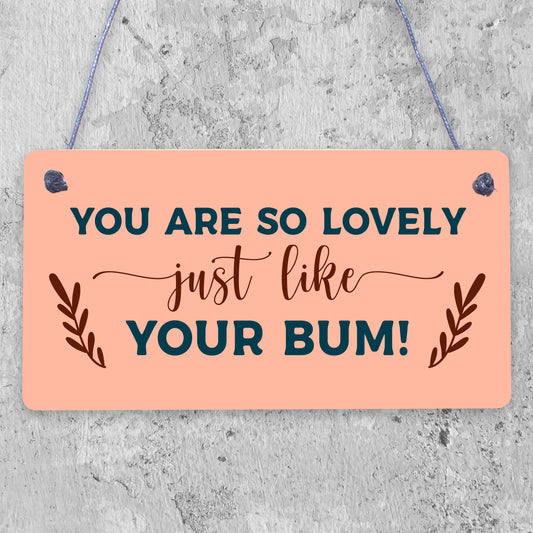 Funny Anniversary Rude Birthday hanging plaque Gift For Boyfriend Husband Relationship