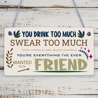 Funny Best Friend Friendship Sign Drink Too Much Alcohol Gin Vodka Birthday Gift