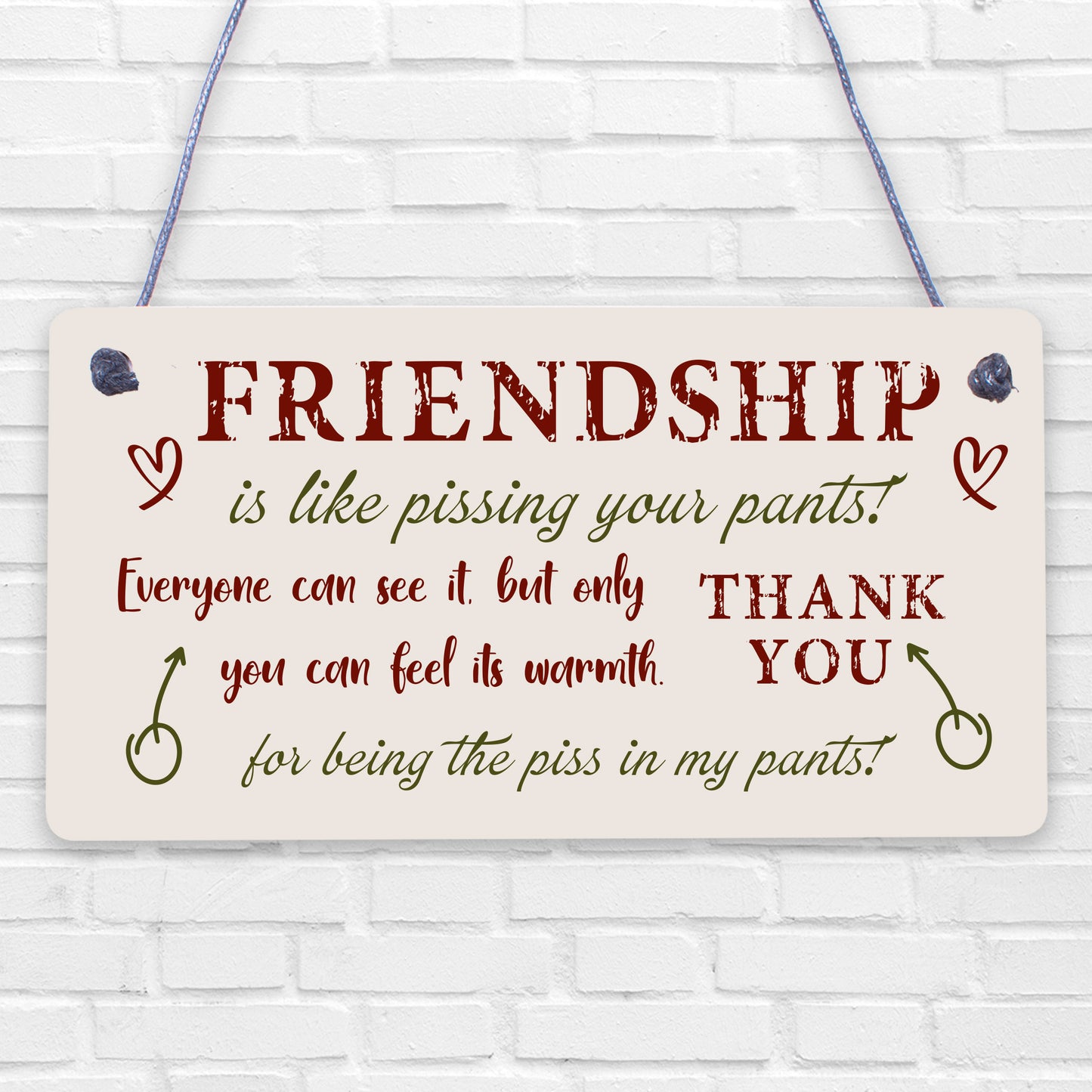 Friendship Sign Best Friend Plaque Gift Shabby Chic Heart &amp; Thank You - READ ME