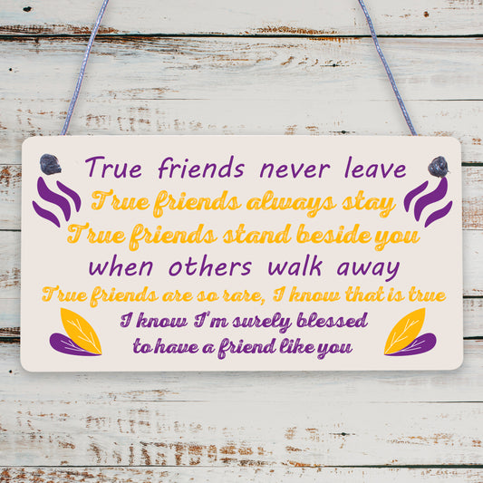 True Friend Friendship Quote Best Friend Hanging Plaque Birthday Keepsake Gift