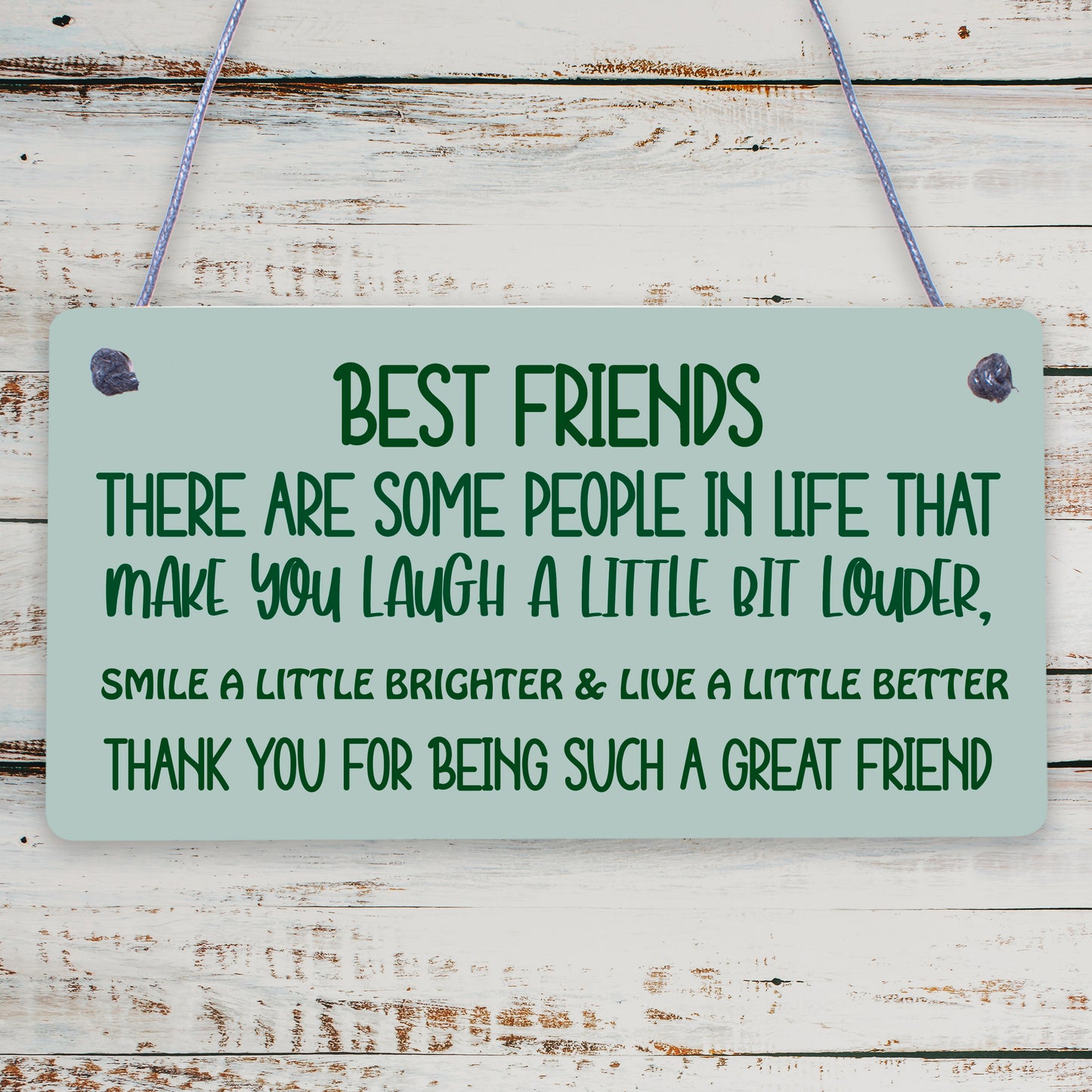 Friendship Sign Best Friend Plaque Gift Shabby Chic Flowers Thank You - READ ME