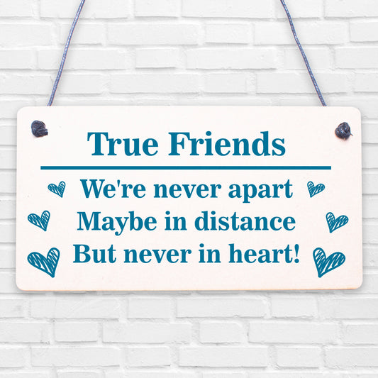 True Friends Never Apart Cute Wooden Hanging Plaque Gift Best Friends Love Sign