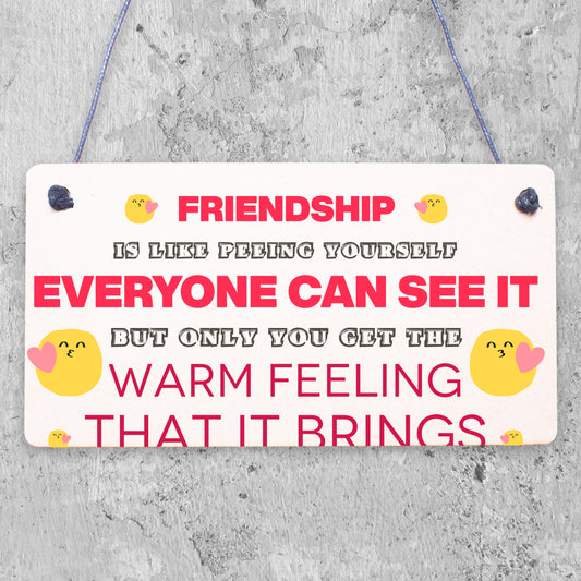 Novelty Best Friend Sign Friendship Funny Rude Gift Novelty Birthday Plaque