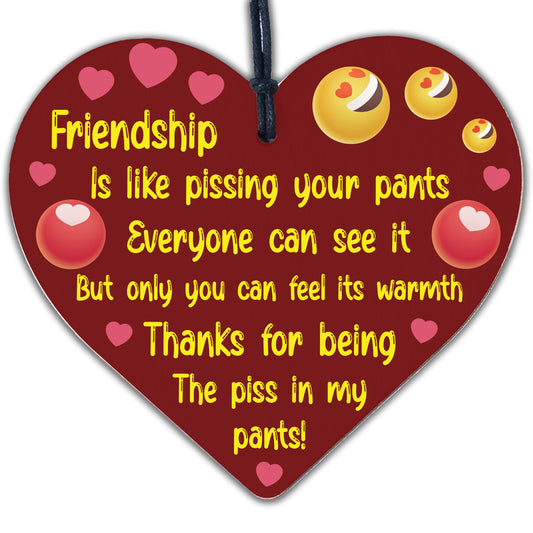 Friendship Gift Funny Rude Birthday Gift For Best Friend Thank You Wooden Heart