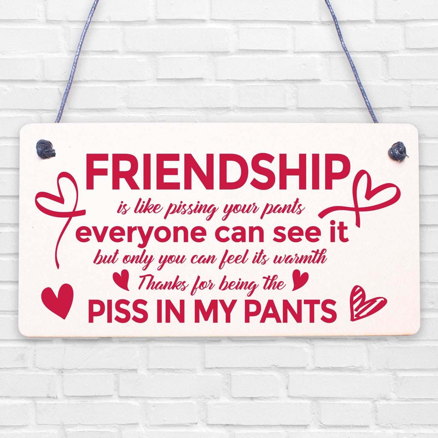 Funny Friendship Gift Best Friend Hanging Sign Novelty Birthday Christmas Gifts