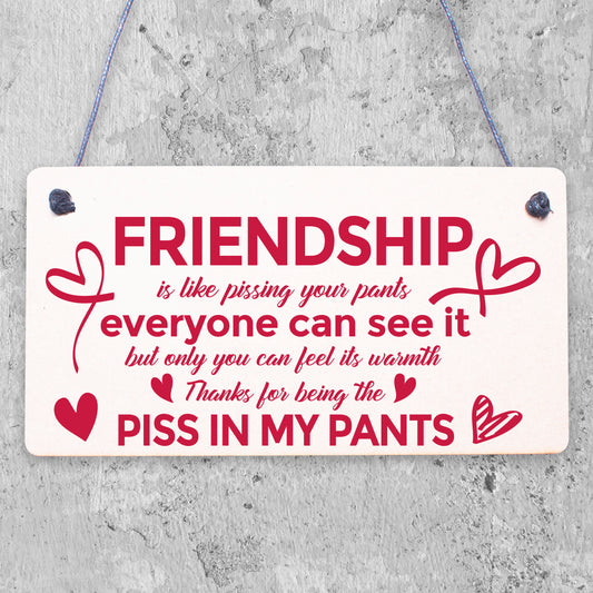 Funny Friendship Gift Best Friend Hanging Sign Novelty Birthday Christmas Gifts