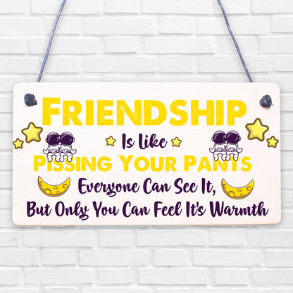 Friendship Pants Best Friend Gift Thank You Funny Hanging Plaque Present Sign