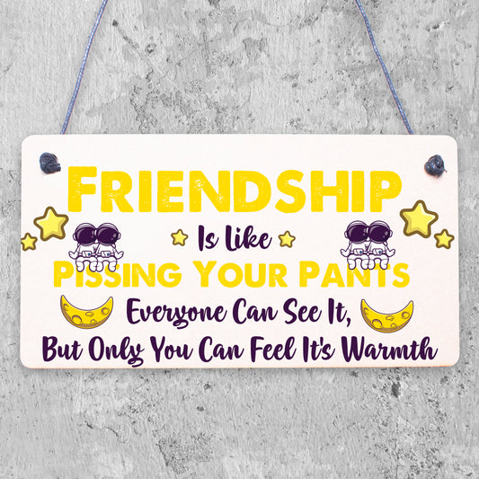 Friendship Pants Best Friend Gift Thank You Funny Hanging Plaque Present Sign