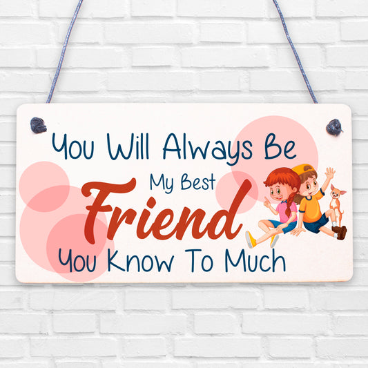 Best Friend You Know Too Much Novelty Wooden Hanging Plaque Friendship Sign Gift