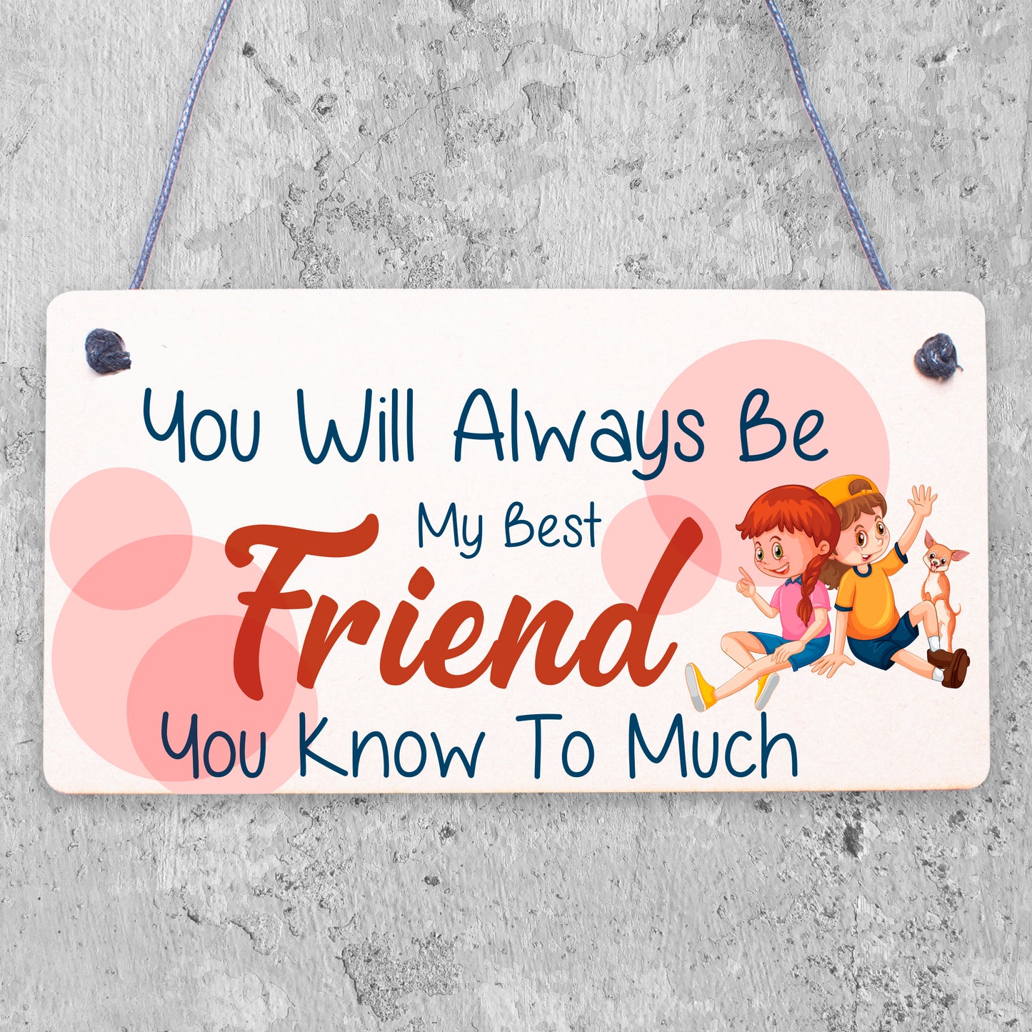 Best Friend You Know Too Much Novelty Wooden Hanging Plaque Friendship Sign Gift