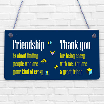 Crazy Friendship Sign Best Friend Hanging Plaque Thank You Family Birthday Gift