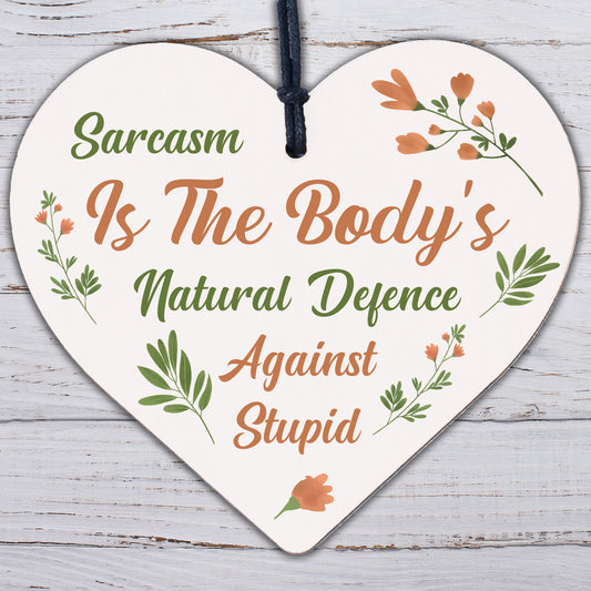 Sarcasm Against Stupid Novelty Wooden Hanging Heart Plaque Friendship Funny Sign