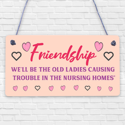 Friendship Old Ladies Causing Trouble Novelty Wooden Hanging Plaque Friends Sign