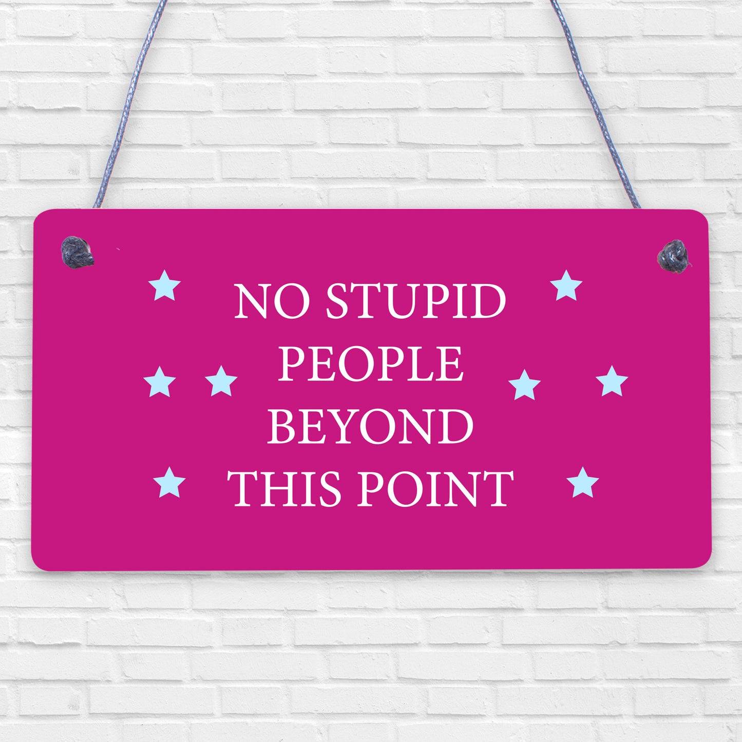 NO Stupid People Funny Plaque Man Cave Shed Bedroom Door Sign Gift For Dad Son