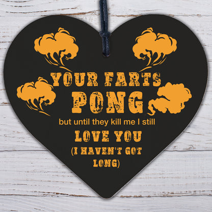 Your Farts Pong Happy Birthday Funny Card Boyfriend Husband Girlfriend Wife Gift