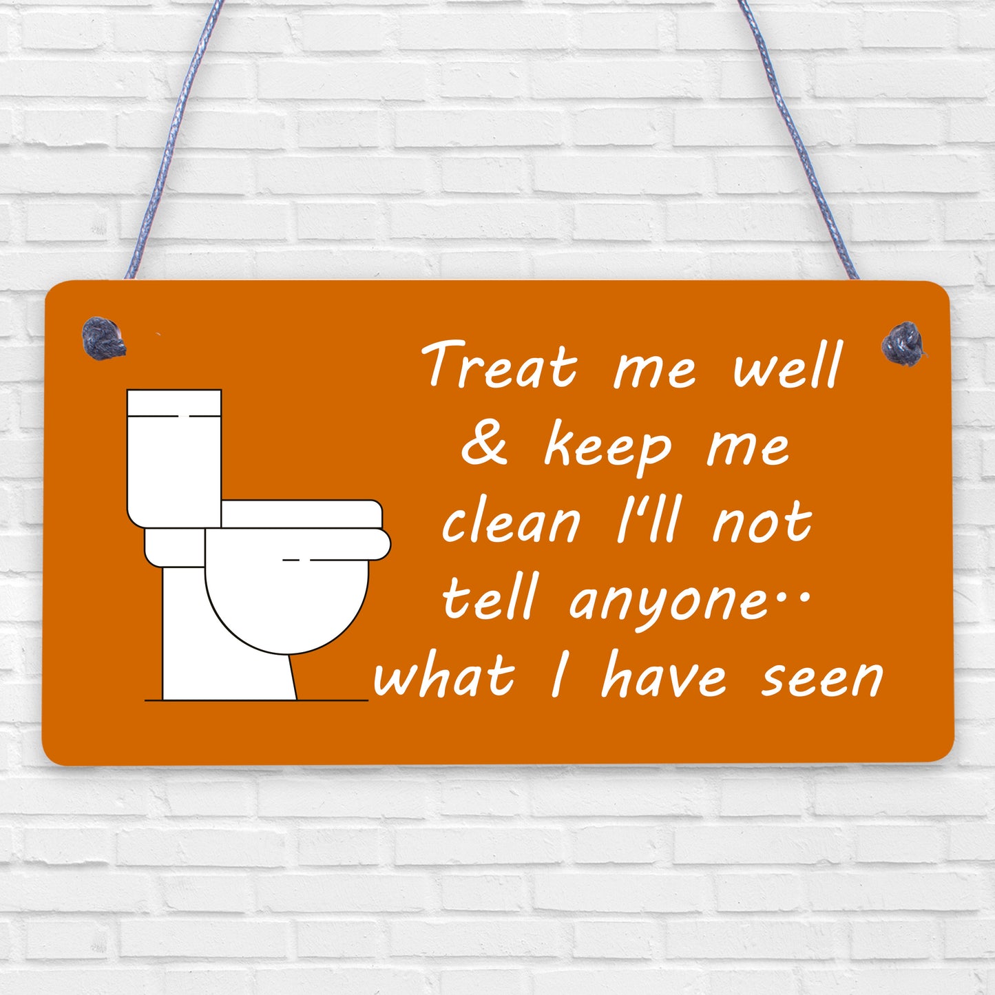 Funny BATHROOM Signs Shabby Chic Door Plaque Sign for Toilet Bathroom The Loo