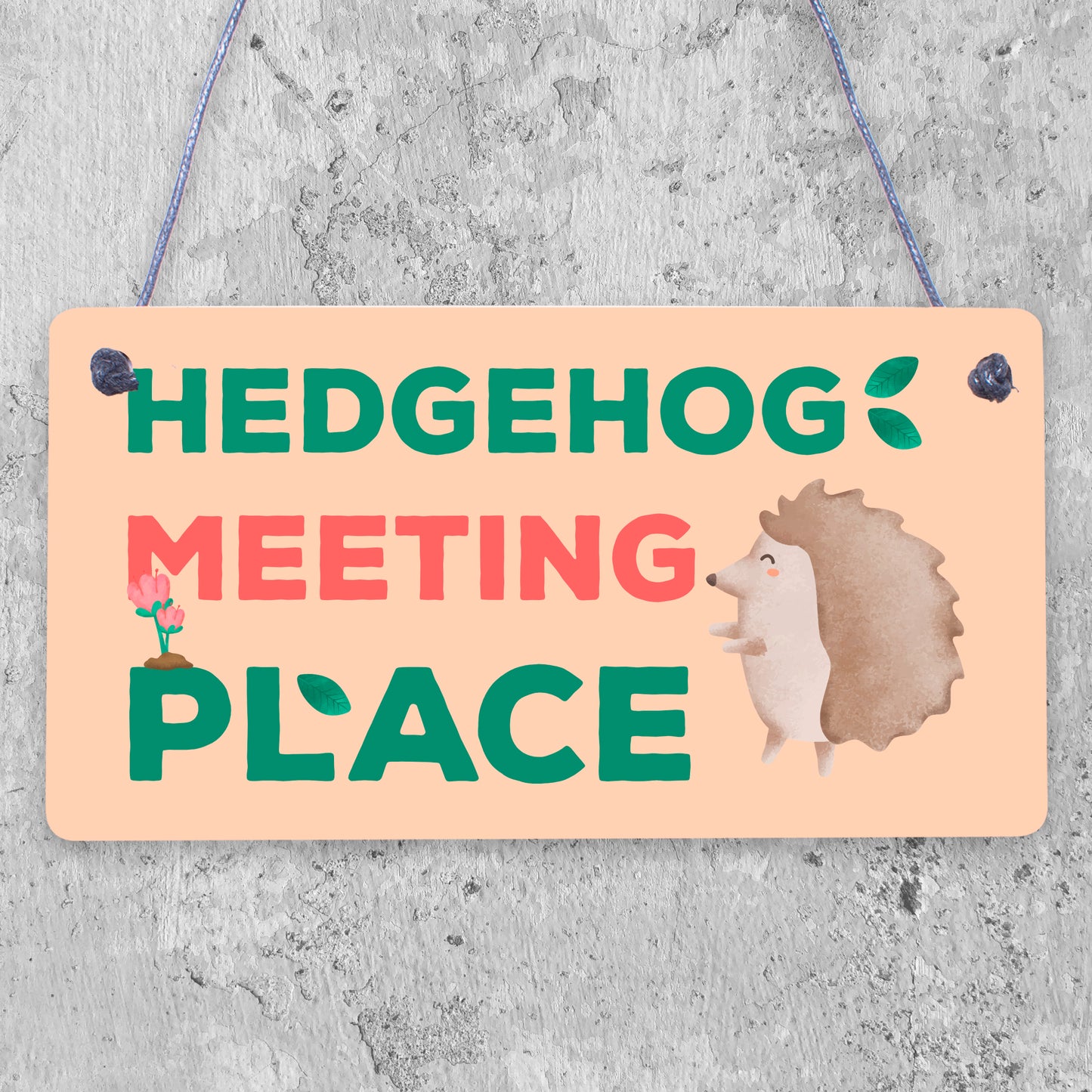 Funny Garden Sign Hedgehog Plaque MEETING PLACE Home Decor Outdoor Sign