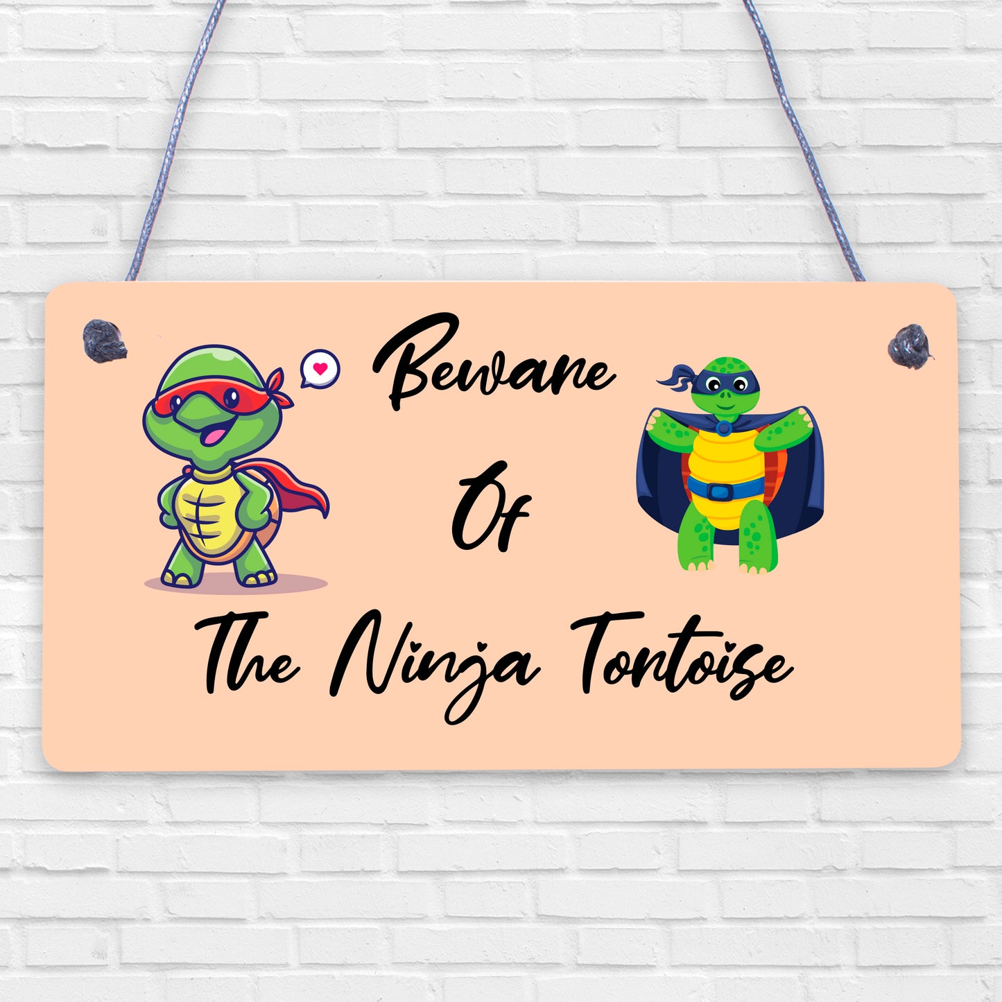 Beware Of The Ninja Tortoise Hanging Plaque Reptile Tank Door Gate Sign Garden