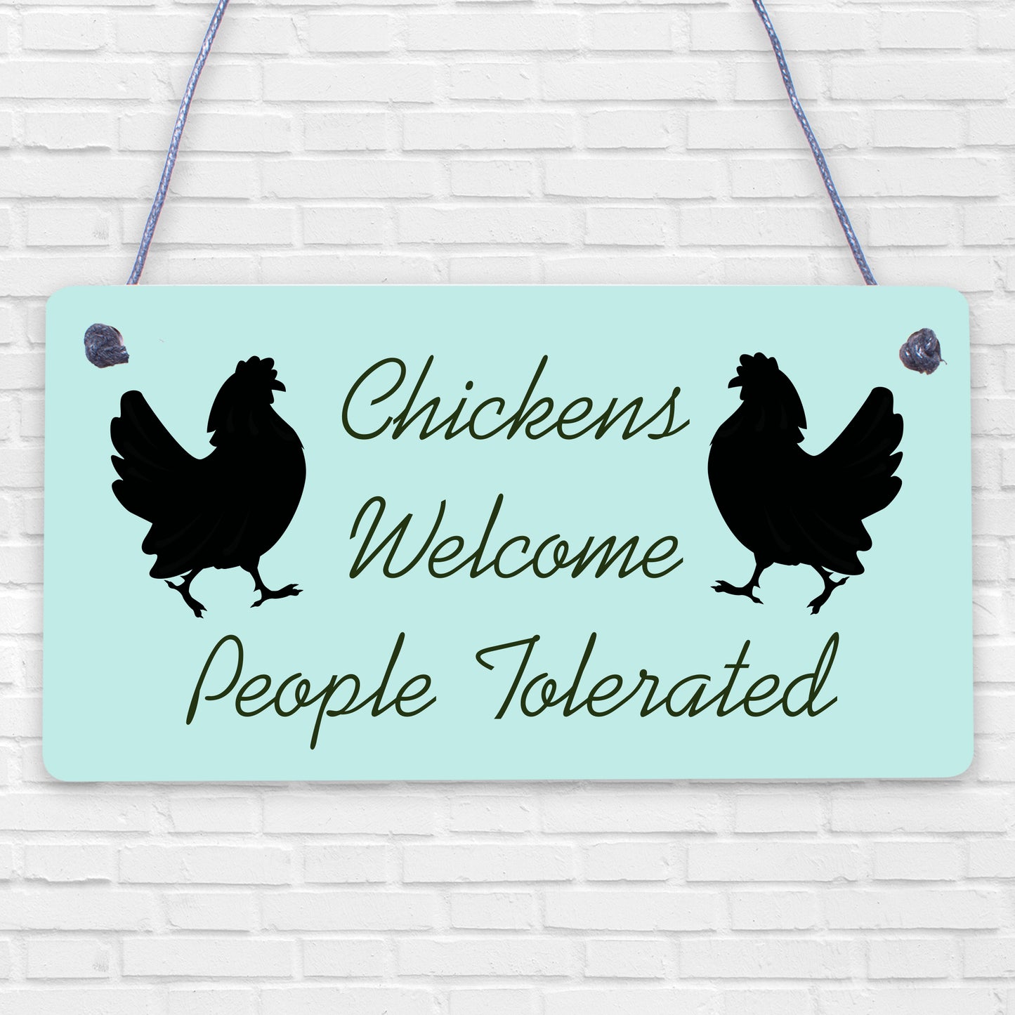 Funny Chicken Sign Hanging Sign Pet Sign Chicken Accessories Garden Plaque Gifts