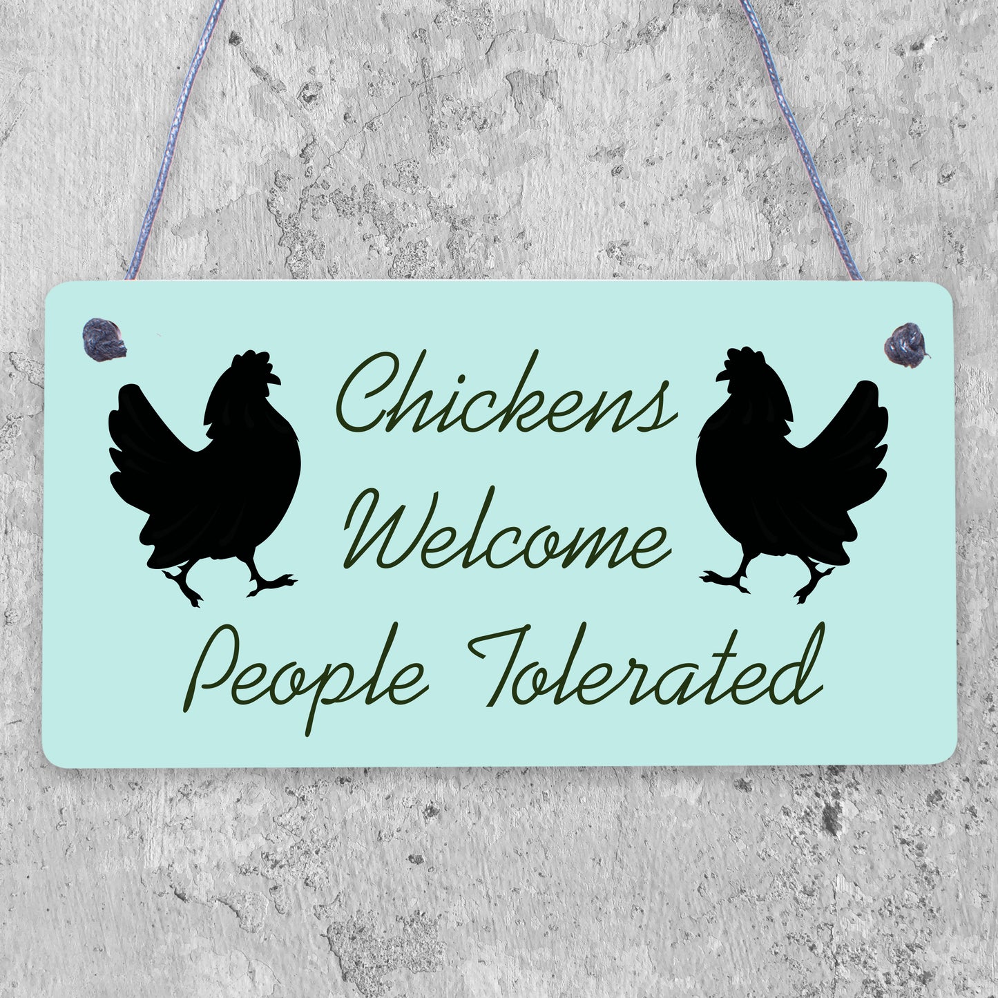 Funny Chicken Sign Hanging Sign Pet Sign Chicken Accessories Garden Plaque Gifts