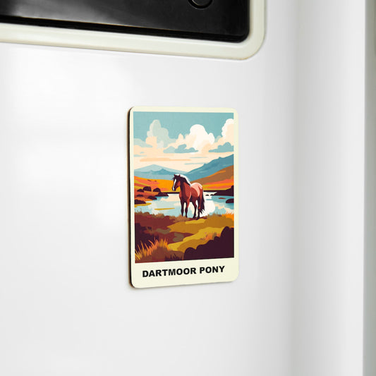 Charming Souvenir Magnets - Celebrate England Memories - Dartmoor Pony